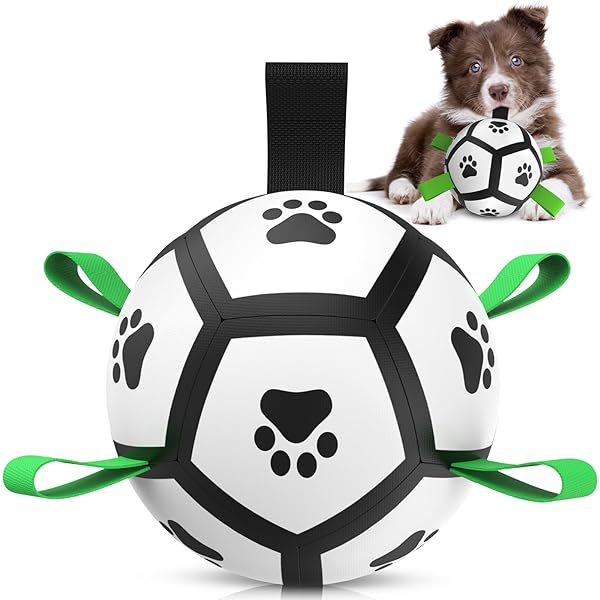 Hundefussball