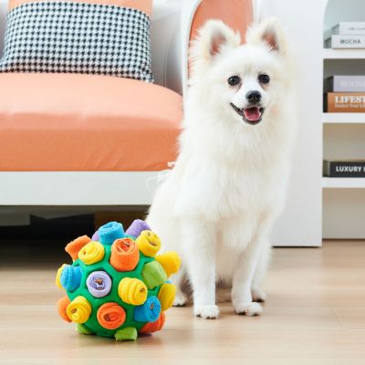Schnüffelball