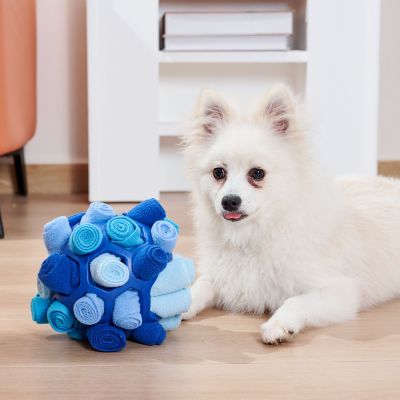 Schnüffelball