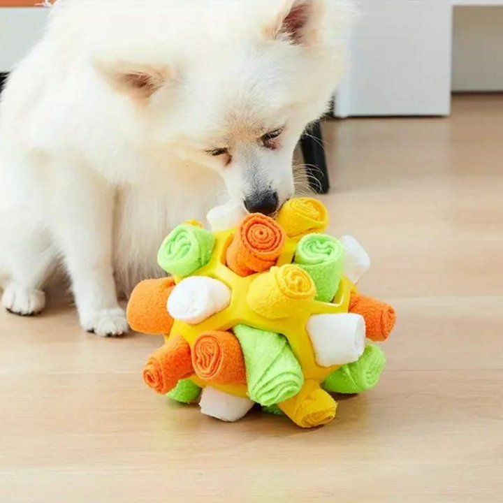 Schnüffelball