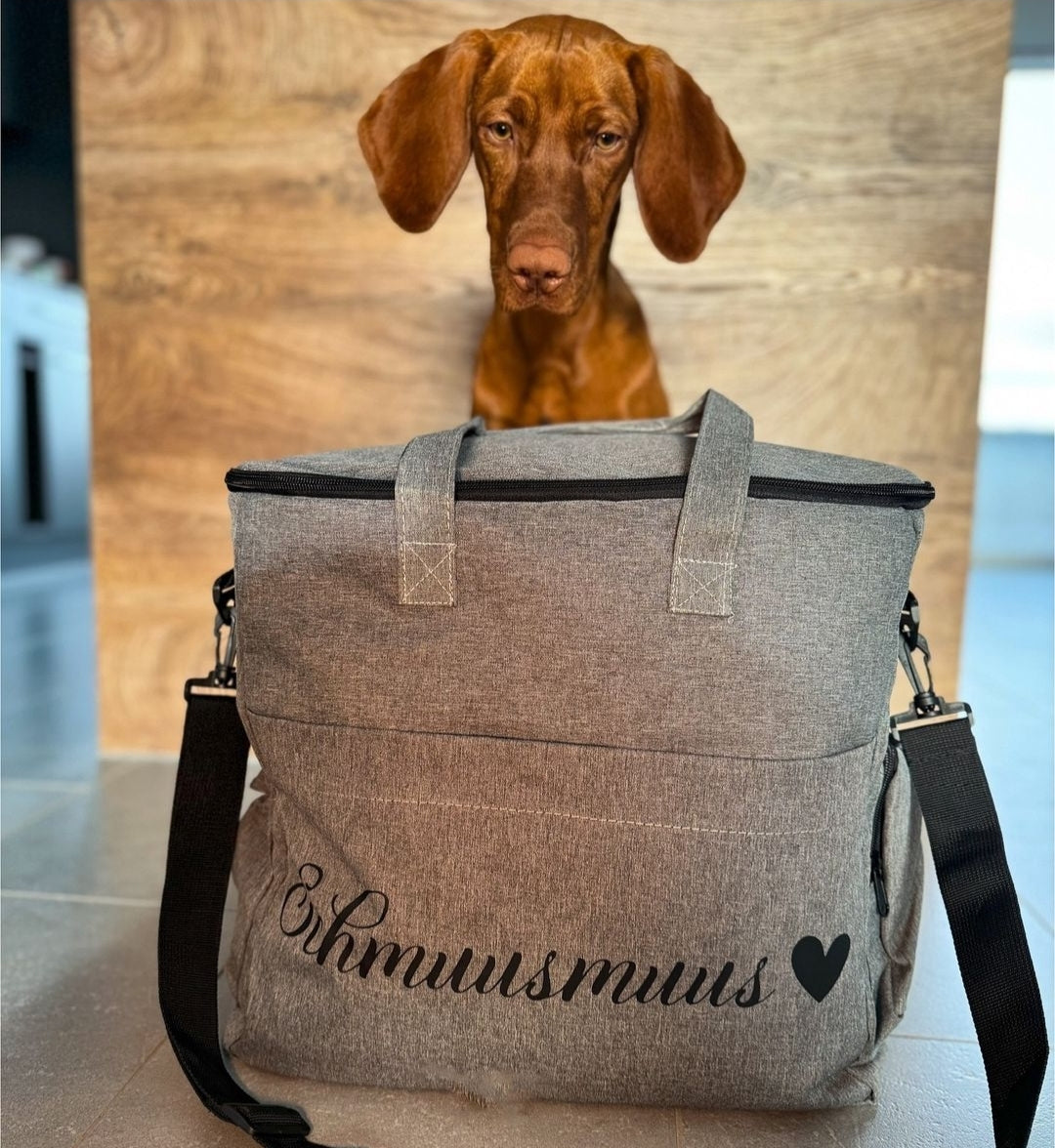 Traveler Reisetasche