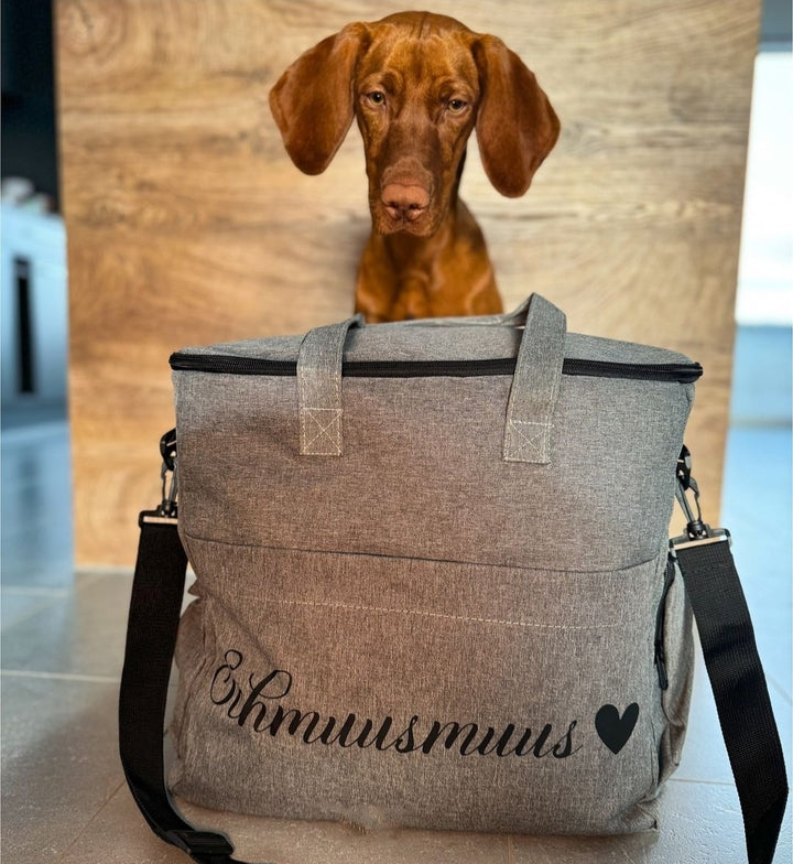 Traveler Reisetasche