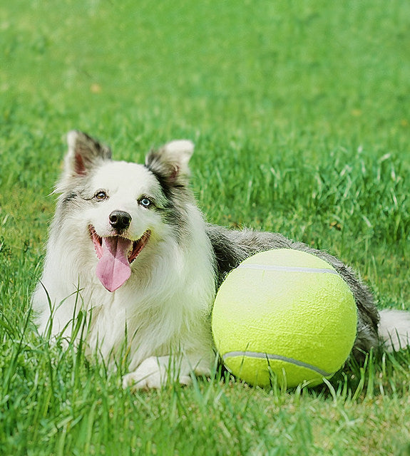 Gigantischer Tennisball