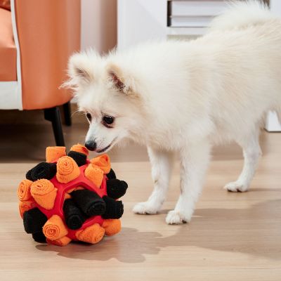 Schnüffelball