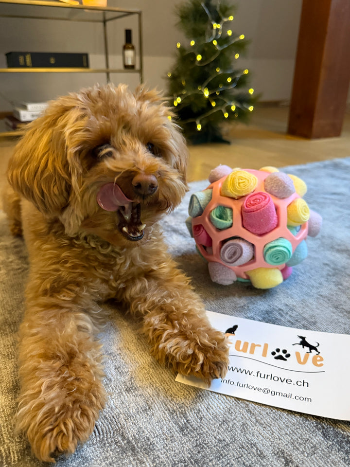 Schnüffelball