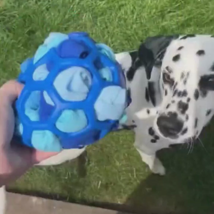 Schnüffelball